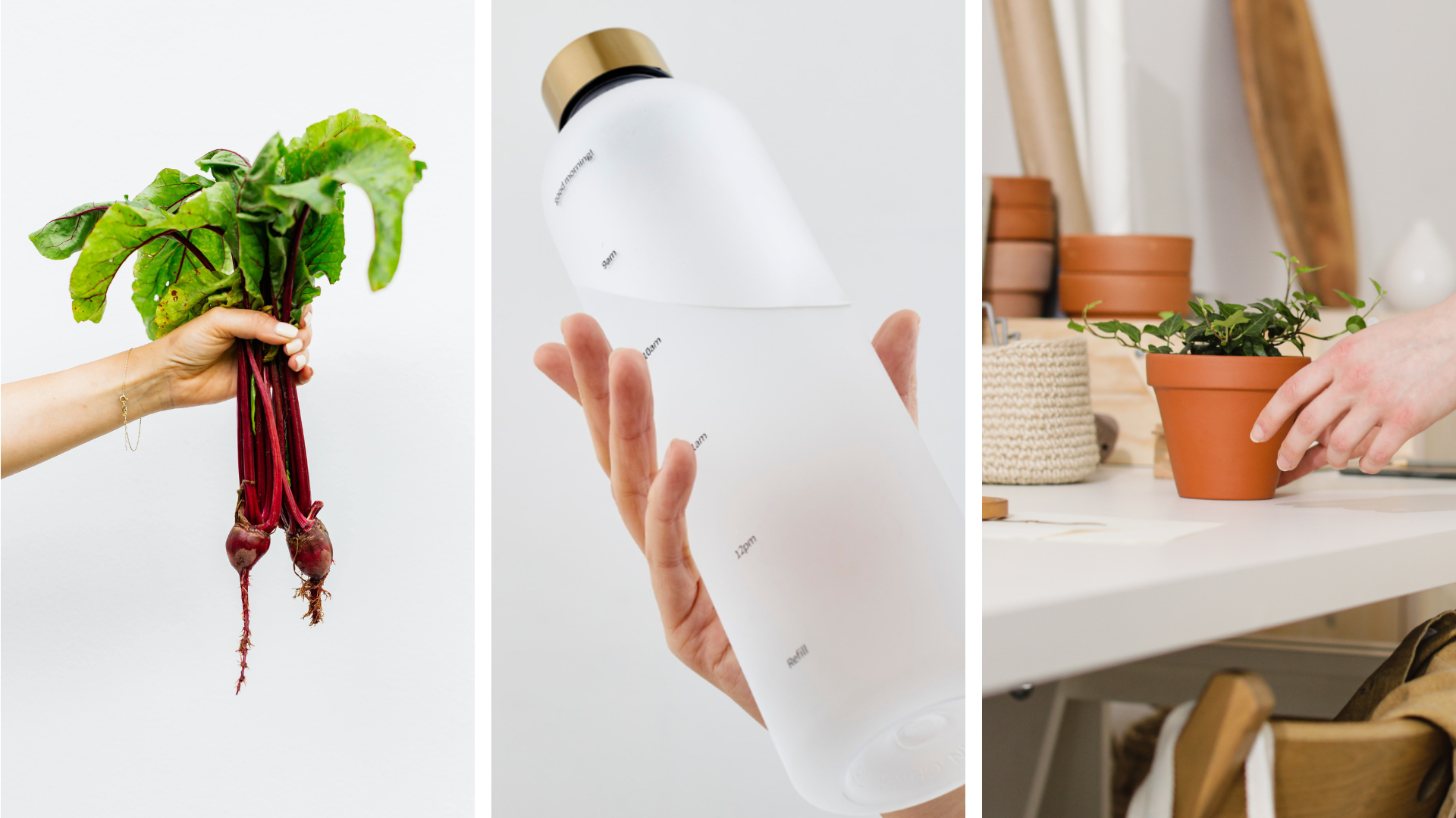 Root to Tap Free Home Audit - Clean Food, Clean Water, Clean Home pillars
