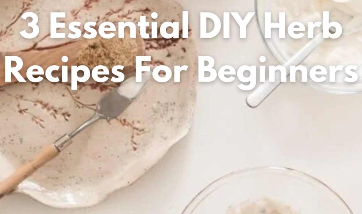 3 diy herbal recipes for beginners image showing herbs recommended by ECO Erin