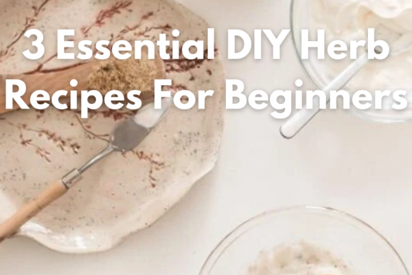 3 diy herbal recipes for beginners image showing herbs recommended by ECO Erin