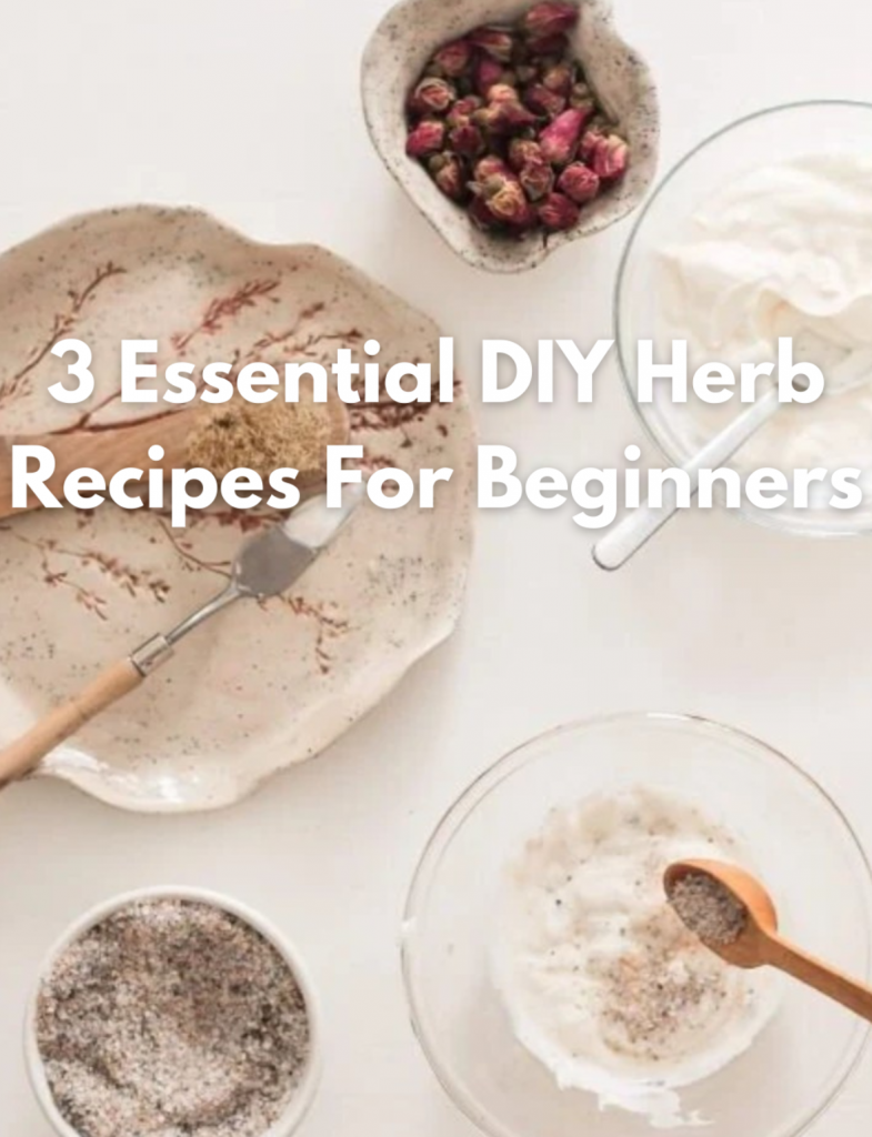 3 diy herbal recipes for beginners image showing herbs recommended by ECO Erin
