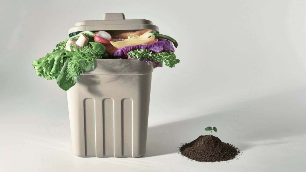A small indoor bokashi compost for small living spaces filled with food scraps next to a small pile of finished compost with a seedling.