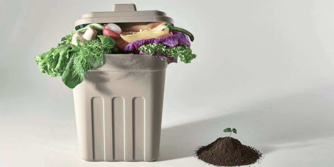 A small indoor bokashi compost for small living spaces filled with food scraps next to a small pile of finished compost with a seedling.