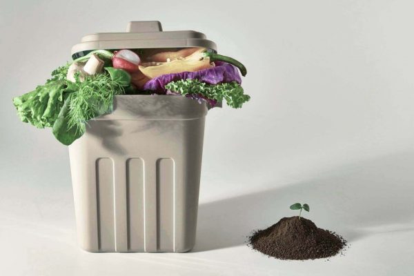 A small indoor bokashi compost for small living spaces filled with food scraps next to a small pile of finished compost with a seedling.